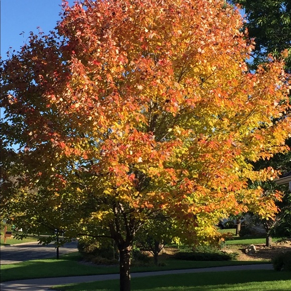 Welcome! Please check out my closet. Thank you๐ - Picture 2 of 10